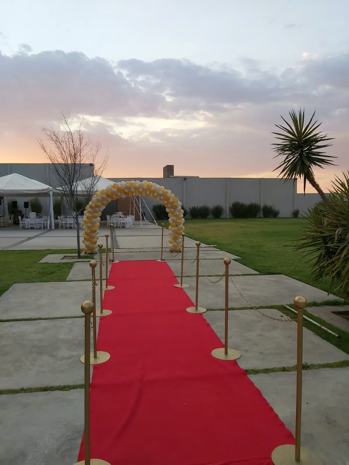 Alfombra roja con arco de globos al atardecer
